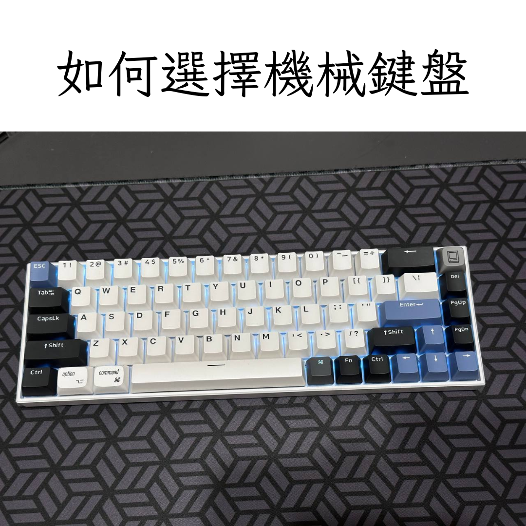 特色圖片