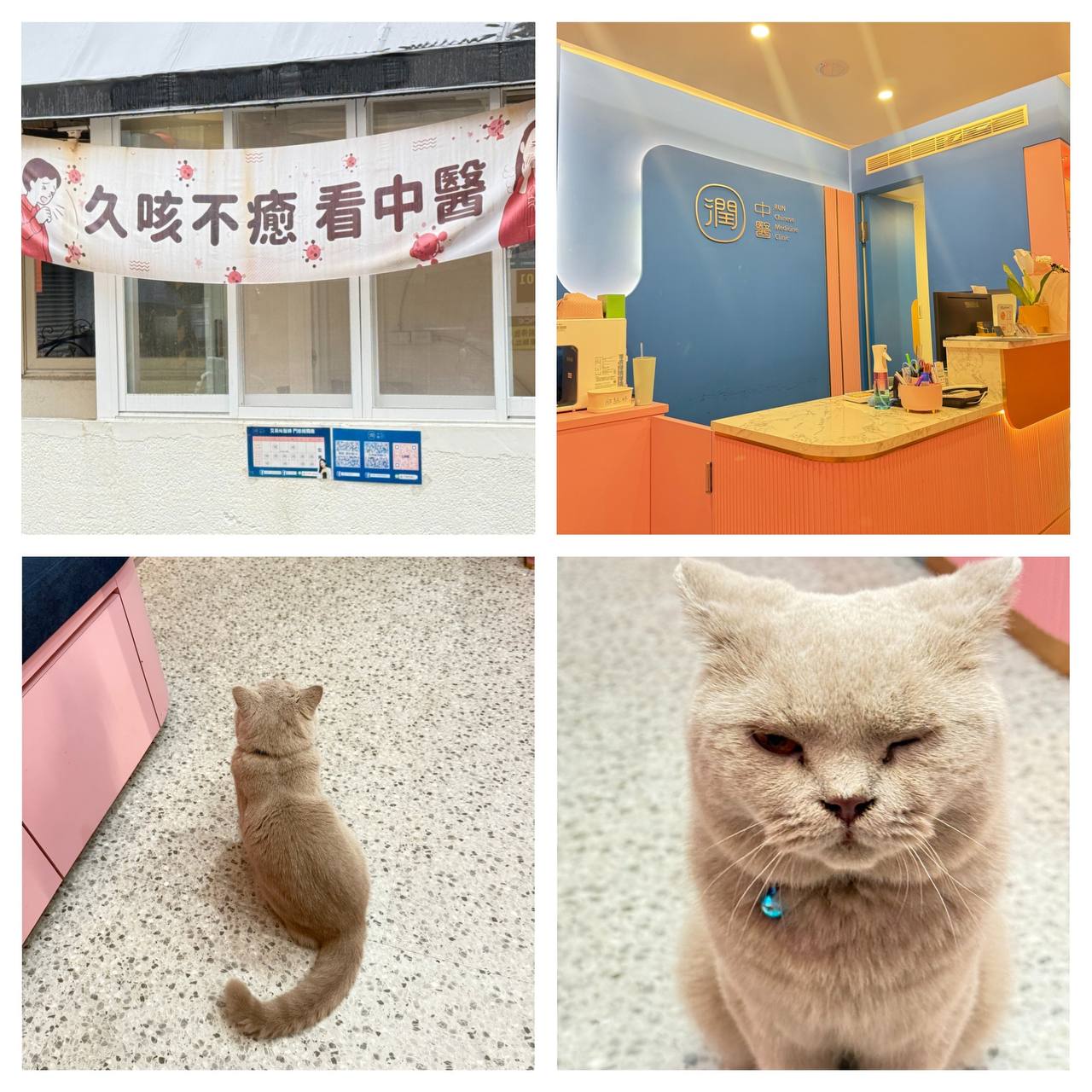特色圖片