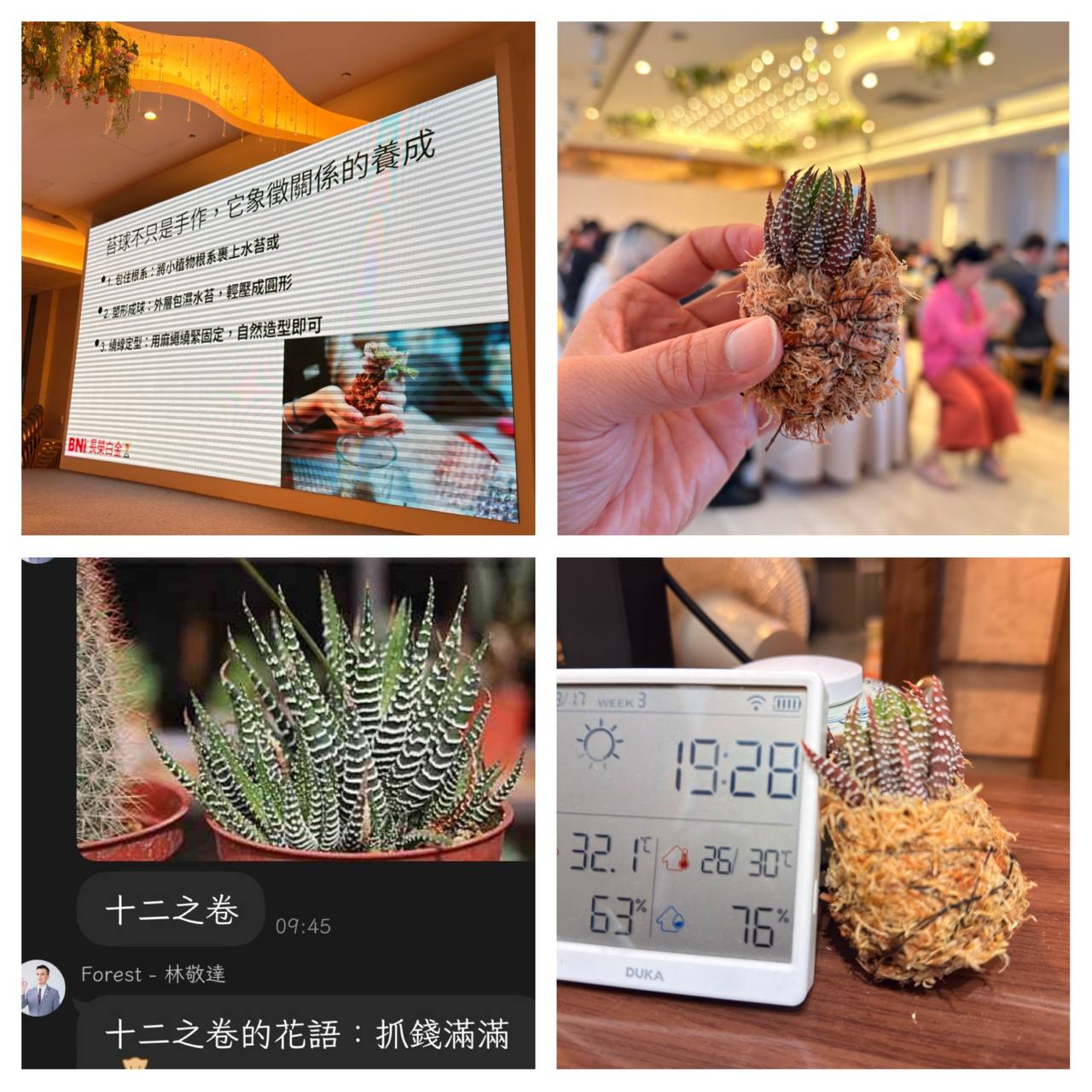 特色圖片